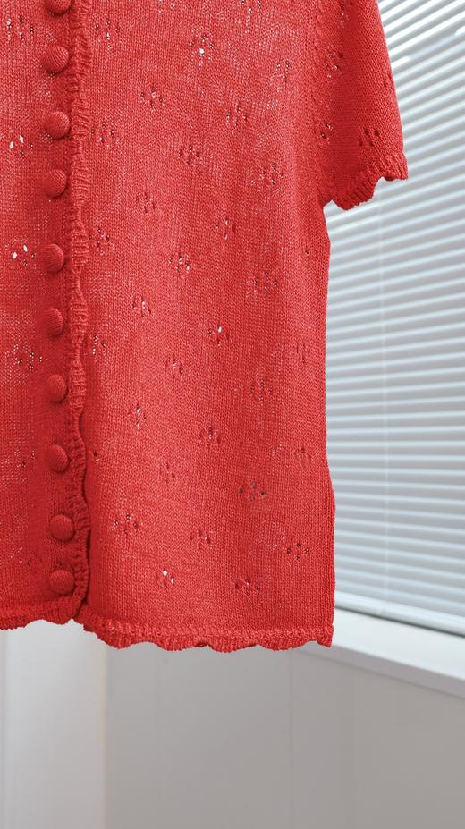 明媚蔷薇|时髦气质镂空短袖衫 商品图3