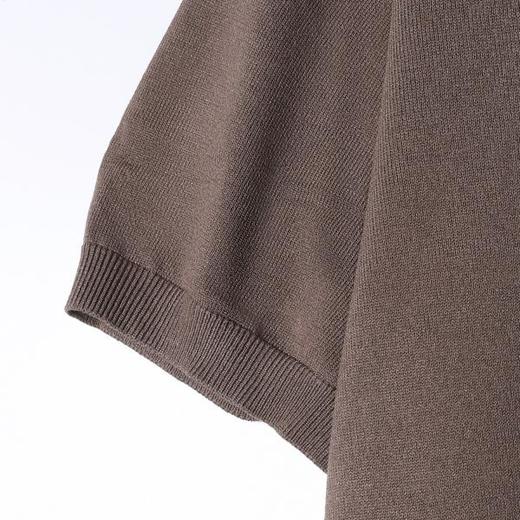 SDSA男装2026新款高贵轻奢老钱风纯色针织圆领短袖T恤百搭时尚 商品图3