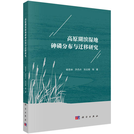 高原湖滨湿地砷磷分布与迁移研究 商品图0