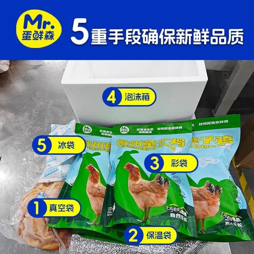 【顺丰京东包邮】69.9秒杀买2送1，无抗童子鸡 林下散养 发酵谷饲原种土鸡慢养 肉质紧实 鲜嫩多汁 顺丰/京东随机基地直邮 商品图4