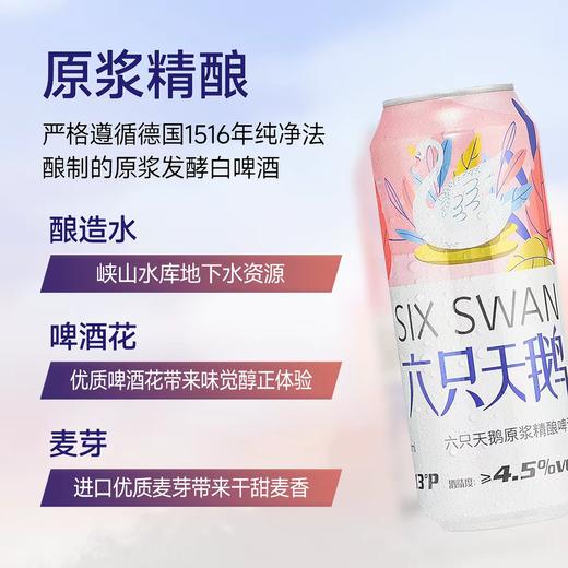 六只天鹅原浆精酿啤酒4.5度13P500ml 商品图1