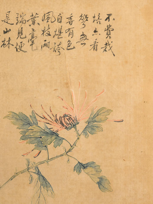 民国	廖采臣花卉图 商品图3