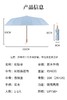 直发 骨架超稳，AVRNA新中式16骨彩胶伞 ，UPF50+防晒效果99.9% 商品缩略图6