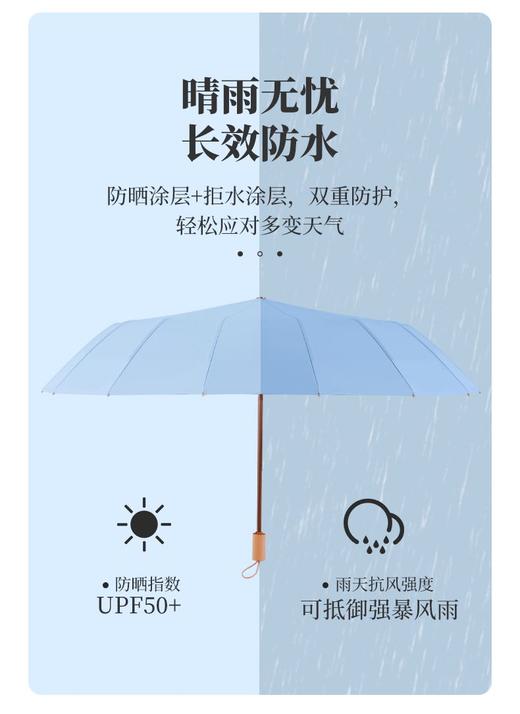 直发 骨架超稳，AVRNA新中式16骨彩胶伞 ，UPF50+防晒效果99.9% 商品图2