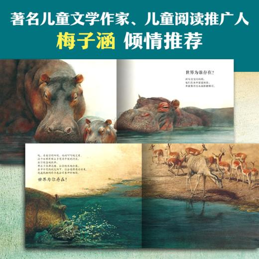 世界为谁存在 精装海豚绘本花园儿童图画故事书幼儿园宝宝0-6岁幼儿亲子阅读精装读物 商品图4