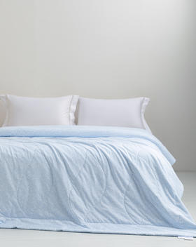 6F堂皇   漫柔沁爽纤维夏被-花影泡泡-200x230cm胎重460g