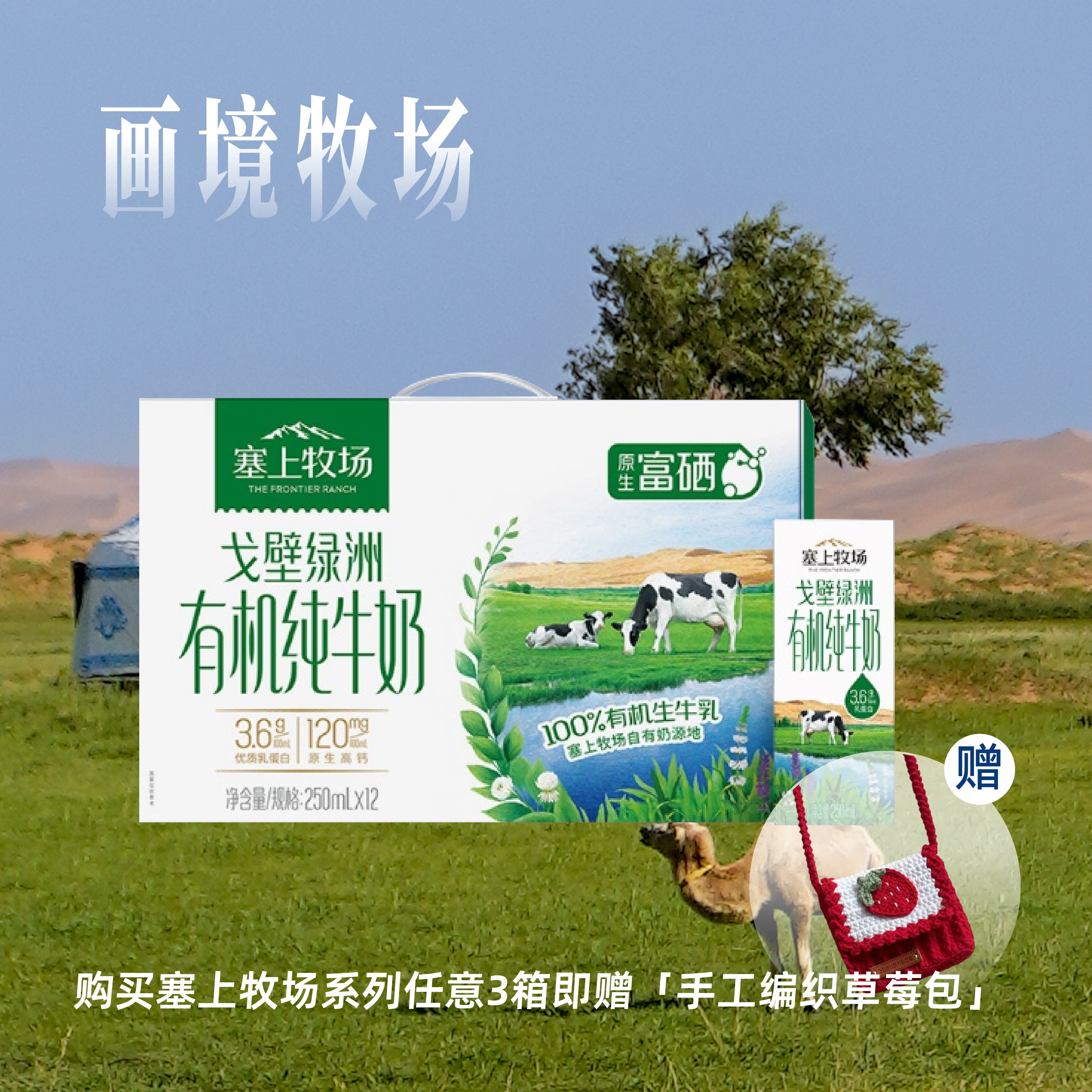 塞上牧场戈壁绿洲有机纯牛奶250ml×12盒