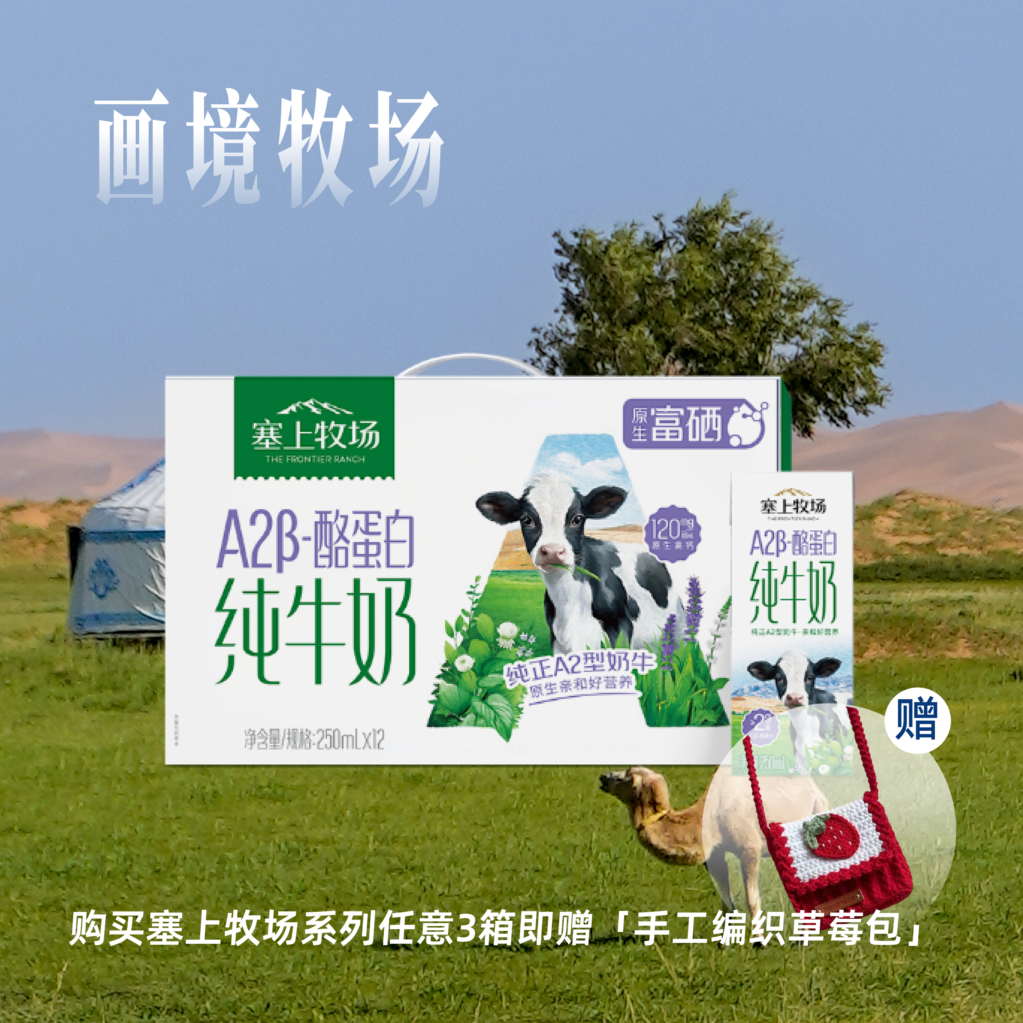 塞上牧场A2β-酪蛋白纯牛奶250ml×12盒