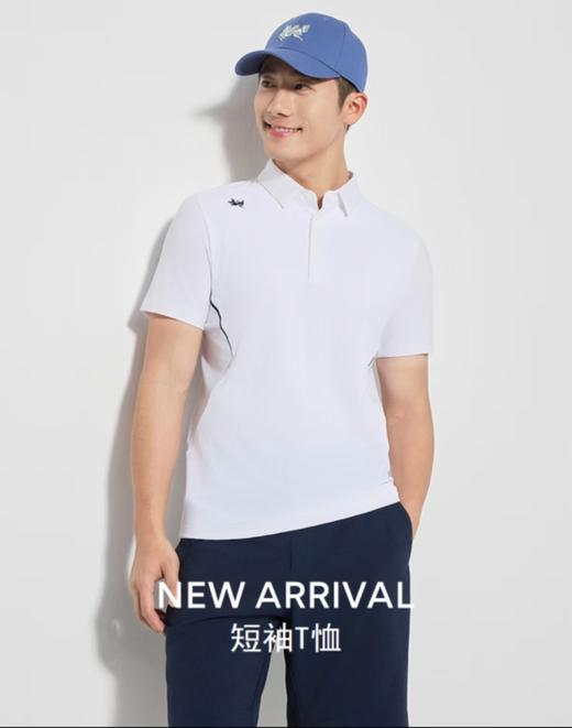 【富临店】雅戈尔短袖POLO衫 商品图0