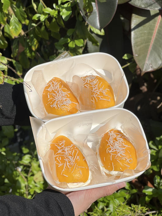 台农芒果冷萃酸奶夹 商品图0