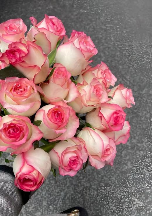 粉色单头玫瑰20枝 商品图2