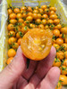 香芒皇后番茄 商品缩略图0