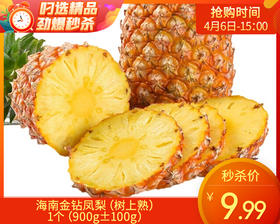 海南金钻凤梨（树上熟）/1个（900g±100g）