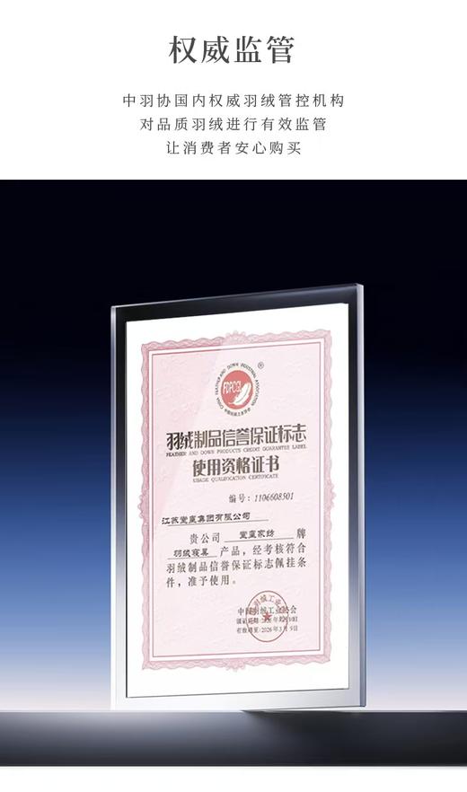 【堂皇】B7F 堂皇羽逸可水洗鹅绒夏被 商品图7