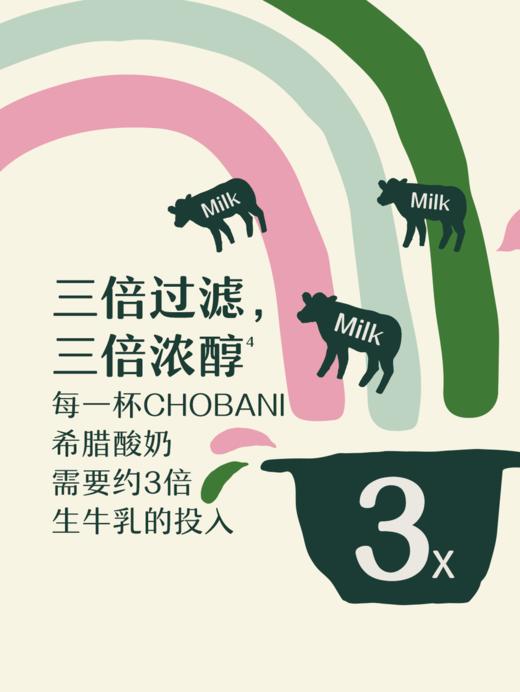 MM 山姆 Chobani希腊式风味酸奶 100g*6 商品图4