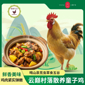 云巅村落散养竹香童子鸡（鲜香）