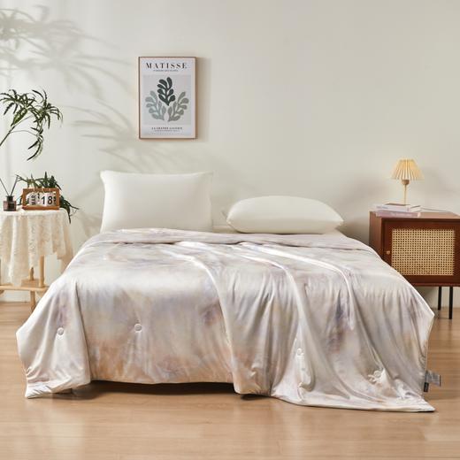 【2026年新款】VCIEL韦莎 冰丝绸桑蚕丝夏被 含桑蚕丝填充 柔润透气 整夜不闷汗 冰丝绸面料 触肤即凉 夏天自带降温感 商品图1