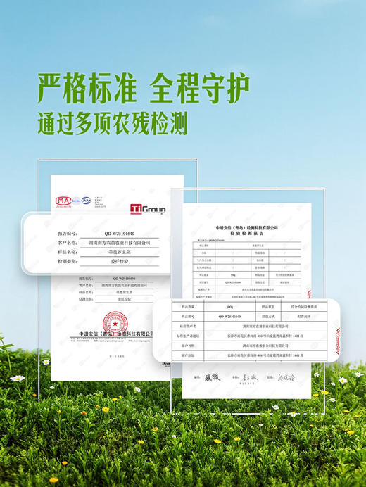 MM 山姆 蒂曼罗生菜 600g 商品图4