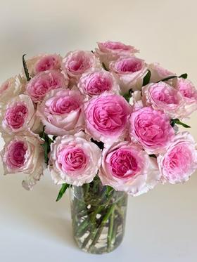 粉色单头玫瑰20枝