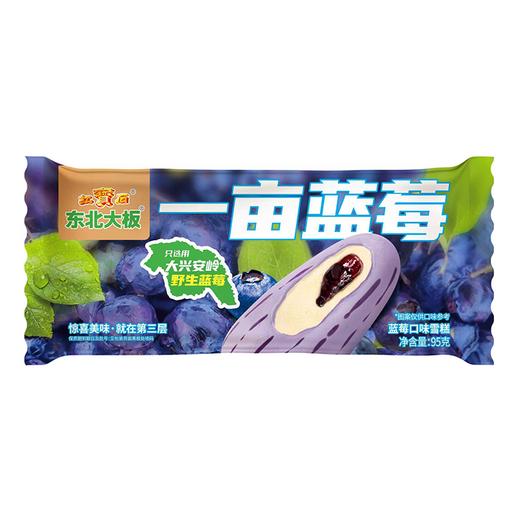 东北大板95g一亩蓝莓雪糕 商品图0