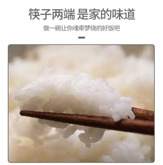 五米常乡5KG 商品图4