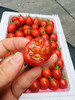 超好吃小红帽千禧小番茄 商品缩略图0