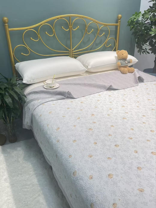 知庭水洗棉印花床盖三件套220x240cm 商品图0