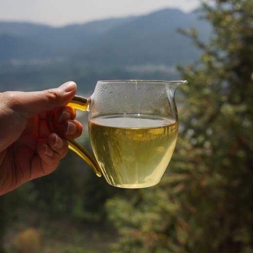 【特价捡漏】2025《岩露》古树春茶 生茶 200克/500克/2500克 商品图2