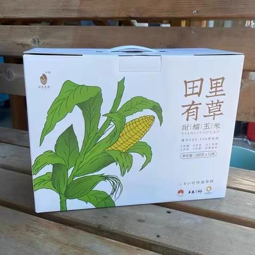 临期取货：【田里有草甜糯玉米】一根200克，甜糯粘牙！ 商品图2