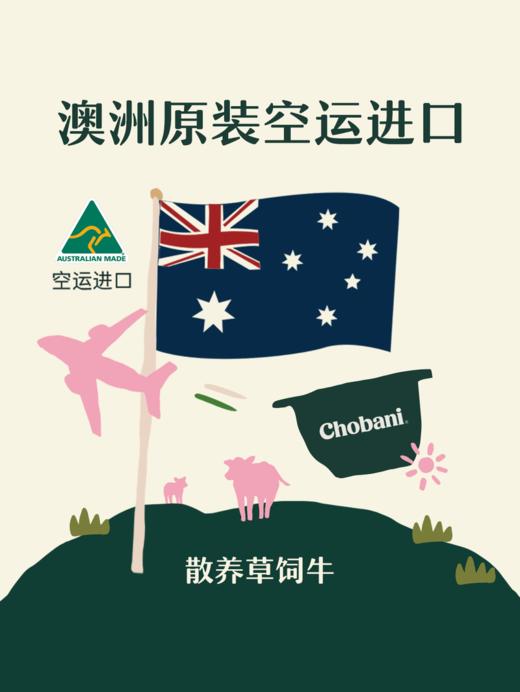 MM 山姆 Chobani希腊式风味酸奶 100g*6 商品图5