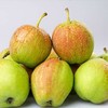 B1F【水果】小香梨  规格：500g （取货日期：即买即取） 商品缩略图0