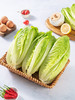 MM 山姆 蒂曼罗生菜 600g 商品缩略图1