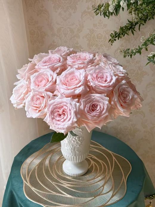 粉色单头玫瑰20枝 商品图4