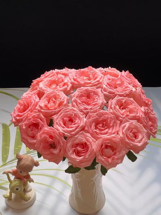 粉色单头玫瑰20枝 商品图1