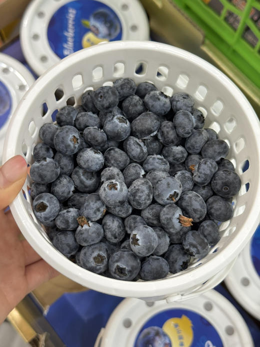 高山花香蓝莓🫐 （毛重1斤左右） 商品图0