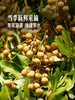 MM 山姆 泰国龙眼 1.2kg 商品缩略图4