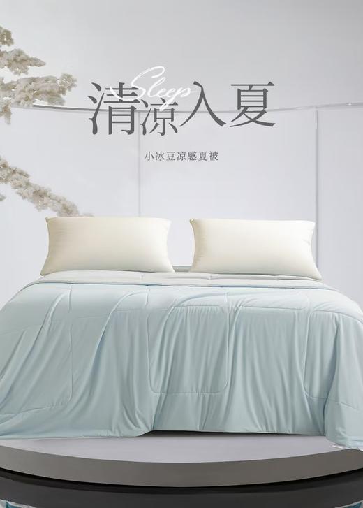 【堂皇】B7F 堂皇小冰豆凉感夏被 商品图0