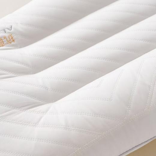 【2026年新款】VCIEL韦莎 零压抗jun护颈枕 三款高度可选 适应不同人群 A类面料 亲肤柔软 高回弹舒适睡眠 商品图9