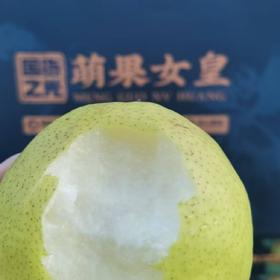 萌果女皇 玉露香梨（8个装）