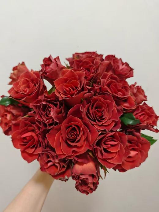 咖啡色单头玫瑰20枝 商品图3