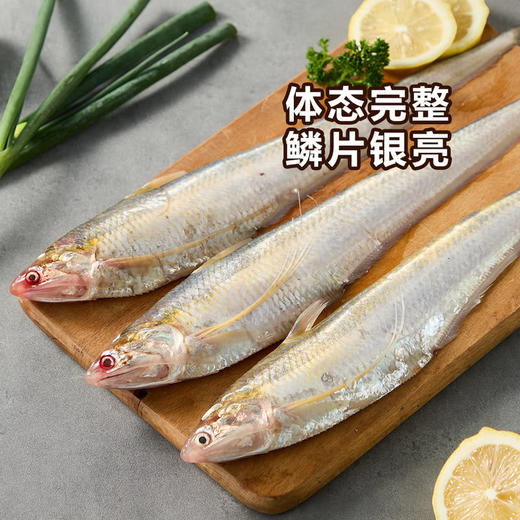 MM 山姆 刀鱼 500g 商品图1