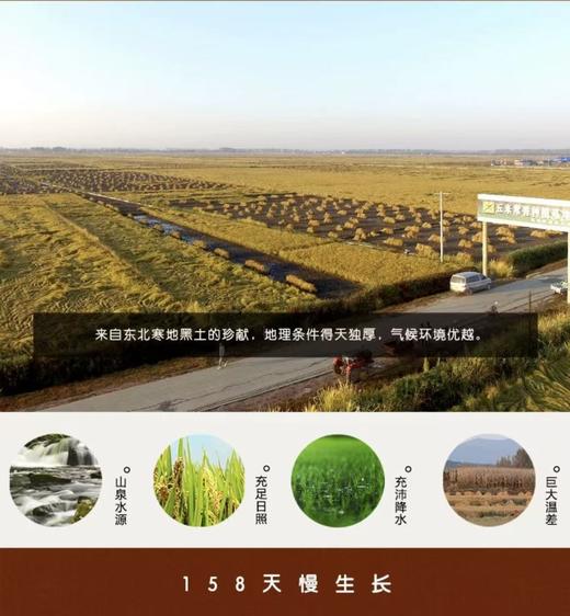 五米常乡5KG 商品图3