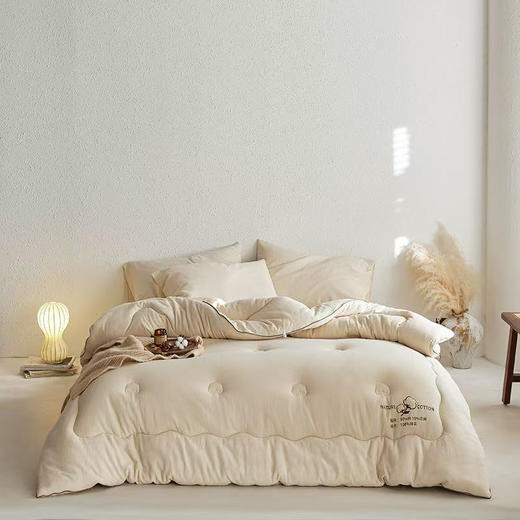 梦之语棉花被200×230 商品图0