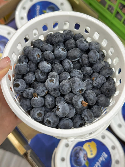 高山花香蓝莓🫐 （毛重1斤左右） 商品图2