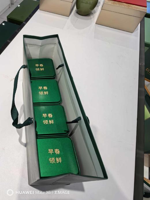 早春.毛尖套装【绿一斤装.1提4个125g听】9.2元1套.整箱50套 商品图0