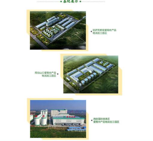 爱菊菜籽油5L 商品图3