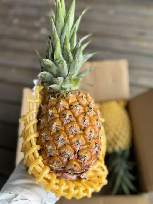 芒果凤梨超甜，口感一级棒 到货了，糖度17°+ 甜度高，凤梨香味浓郁，果肉细腻爽滑，口感特别棒！ 商品图4