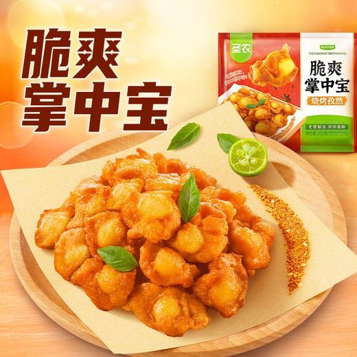 圣农200g烧烤孜然味脆爽掌中宝 商品图0