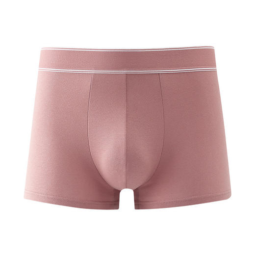 雀说 【4条】男士高腰纯棉内裤纯色高档石墨烯抑菌裆平角短裤9111 商品图3