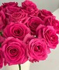 桃红色单头玫瑰20枝 商品缩略图0